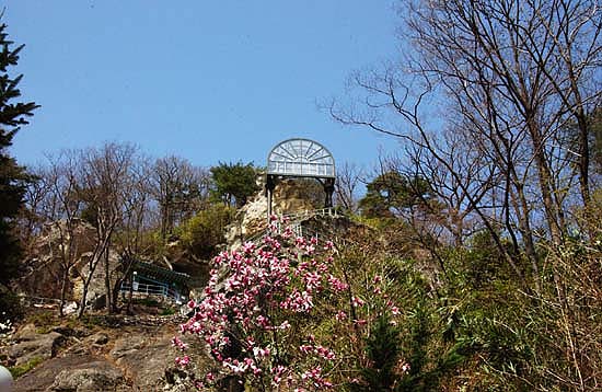 자목련 꽃잎 사이로 커다란 바위산이 보이고 바위산 꼭대기엔 아크릴 보호막이 보이고 좌측 아래쪽으로 곱게 단청된 법당도 보인다. 